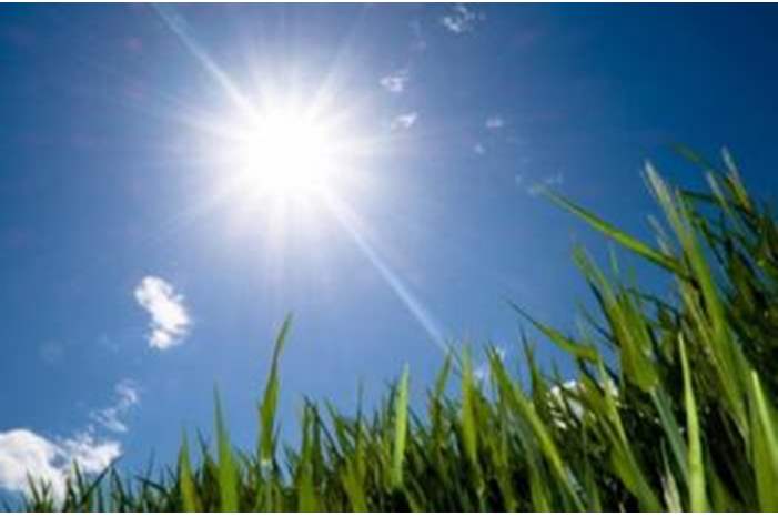 56542-jpg-1844386014439538-1551079967