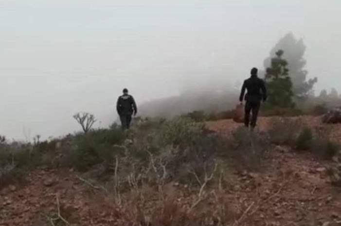 Doc-P-581529-636919665810797373