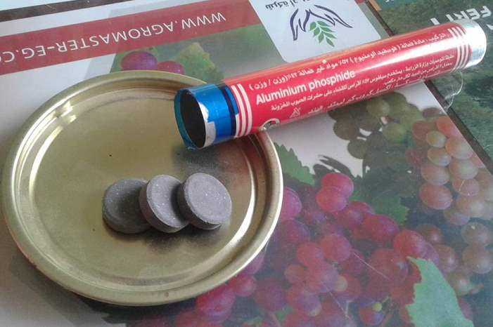 767ea1d7-891b-449b-b4a4-4832e15f4163