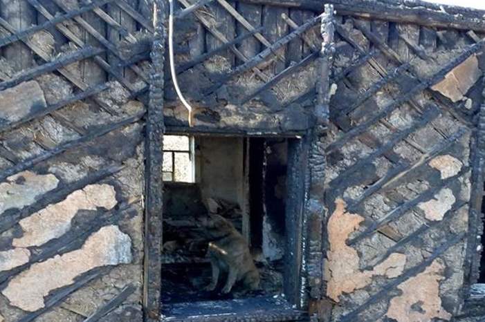 Doc-P-581495-636919626450847579 (1)