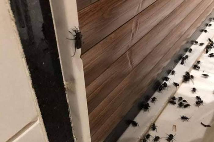 0f8fc051-2abe-428b-a95e-5cc8f69b11c8