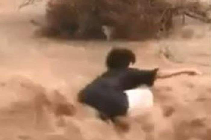 Doc-P-581779-636920580528774164