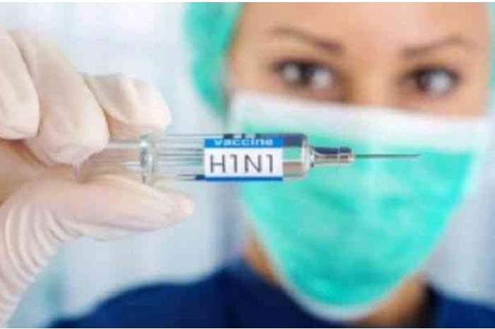 صورة تعبيرية انفلونزا الخنازير