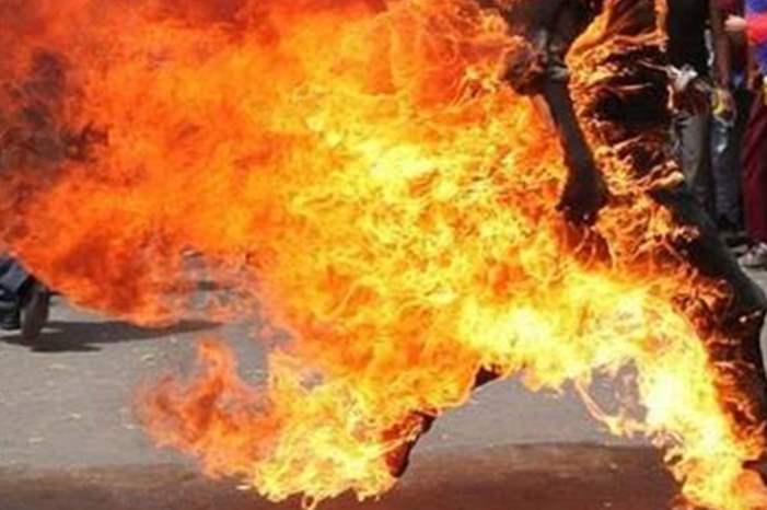 NB-242215-636675876330986784