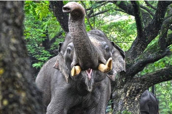 5cc6dacdd437501b358b45c6