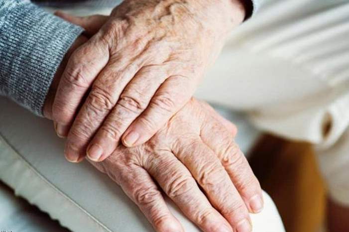 1-1248200-jpg-84131756714666565