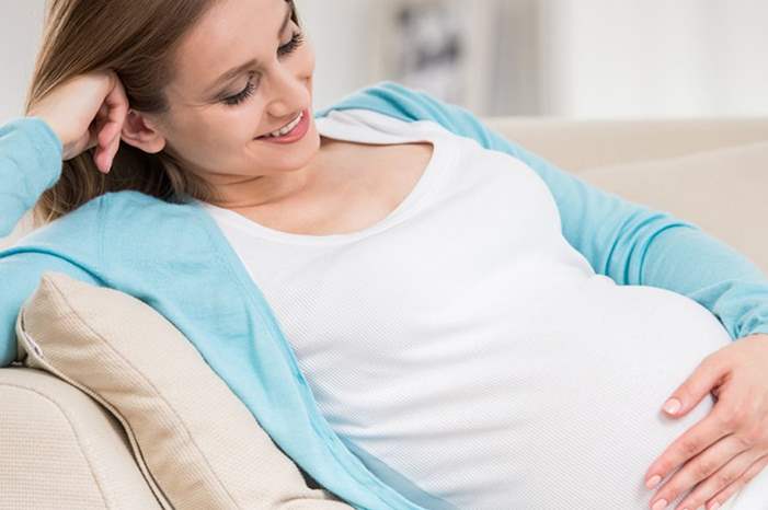 الحامل-1300x600