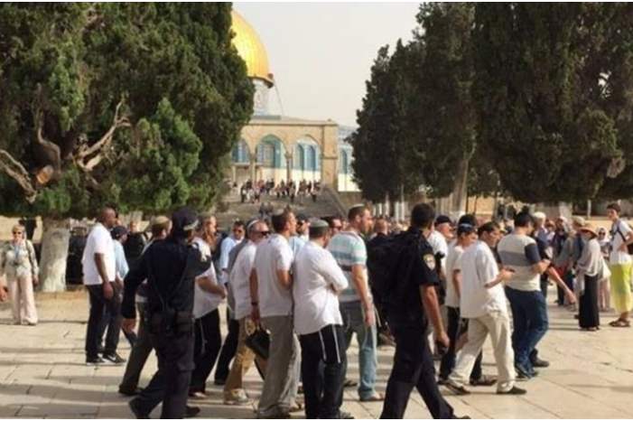 B3iD9Gl5ZKtvpIcrlQXVo2zNA8MW1X7ET2f0Bv4i