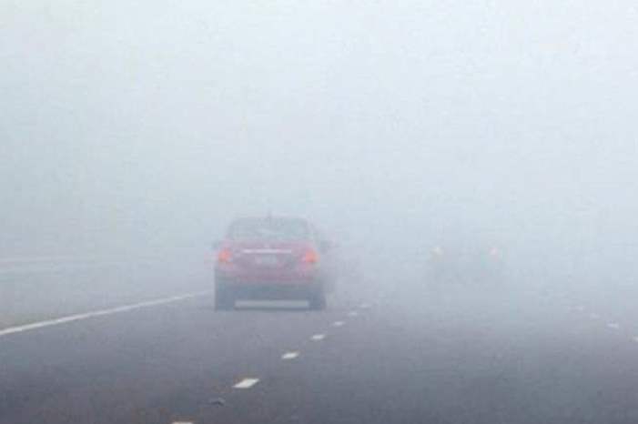 22019179315113736245