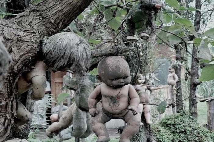 5ca322c895a59712468b4589