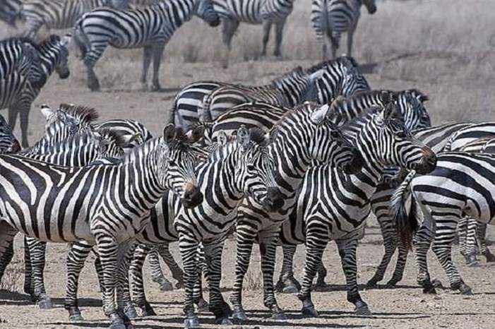 5ca46640d437501f1b8b45ac