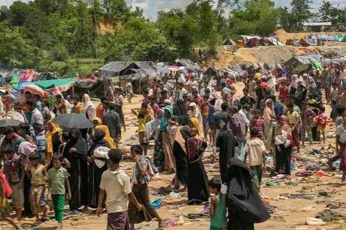 201943122359477K5 (1)