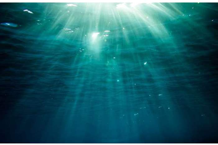 5ca4733895a59793088b45a6