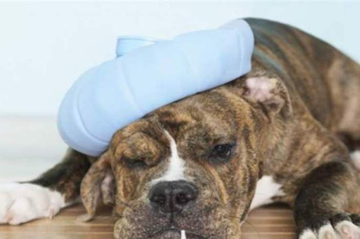 doc-p-571464-636895342195355971-jpg-55343583016760523