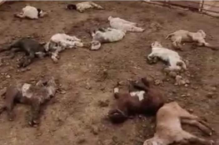 fbcbdd57b8948385253c03b0df289ef0