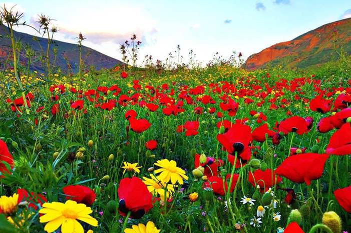 WhatsApp Image 2019-04-04 at 8.01.44 AM