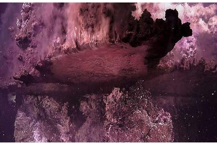 5ca62521d437502d428b45f8