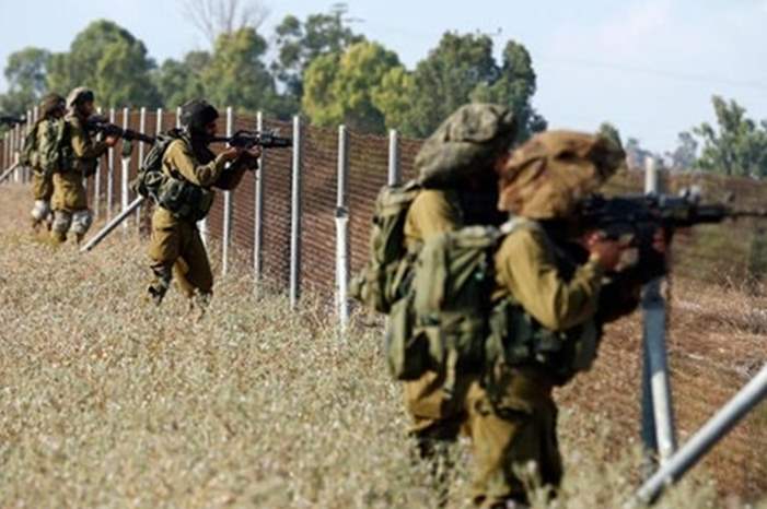 445140_2671321484_548_366