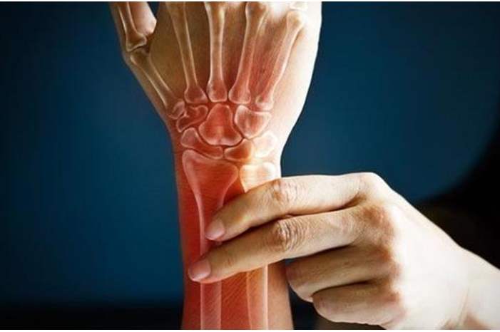 bb74a472-bef7-4ab6-b612-ac642ca8f71d_16x9_1200x676