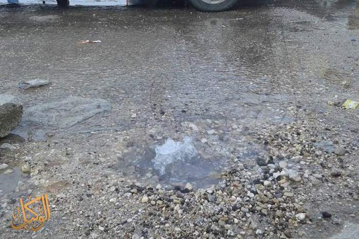 56353963_2203219233097395_5757481287526907904_n (1)