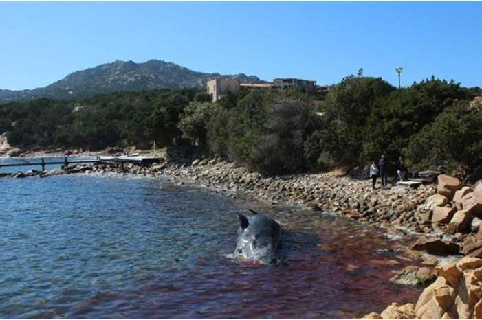 News-P-437168-636901546313543166