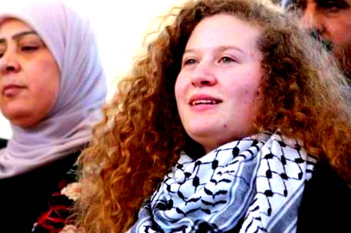 13501445251533978628