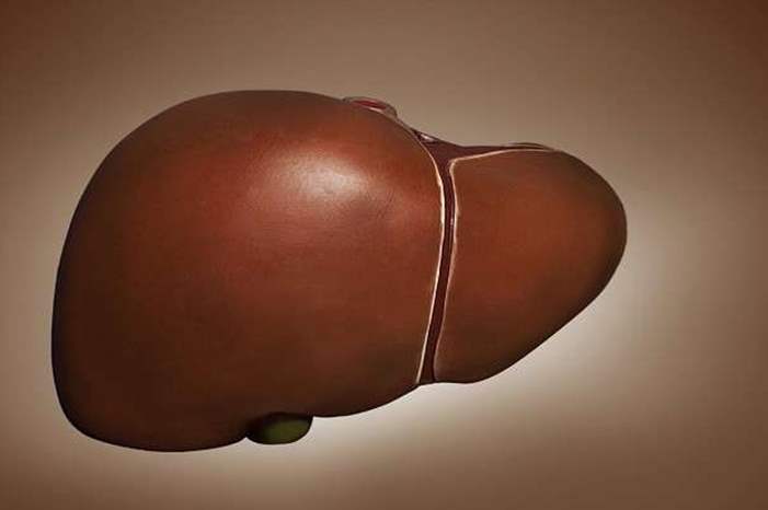 5cab375395a5972c558b45da