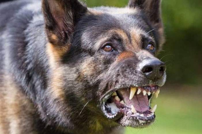 YYYY-1_917048_highres