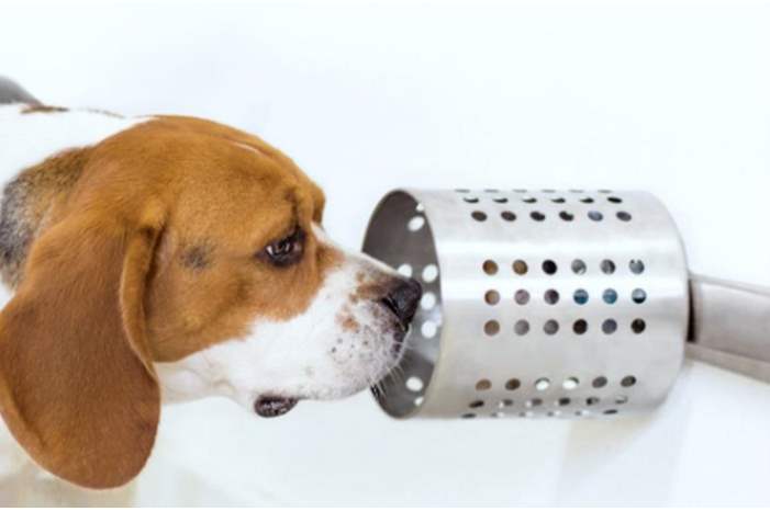 aefe4bd2-64d1-4b84-9708-57fe56839cfe_16x9_1200x676