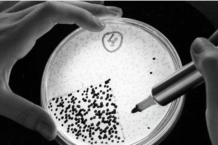 main_image5cac92b1b52e6