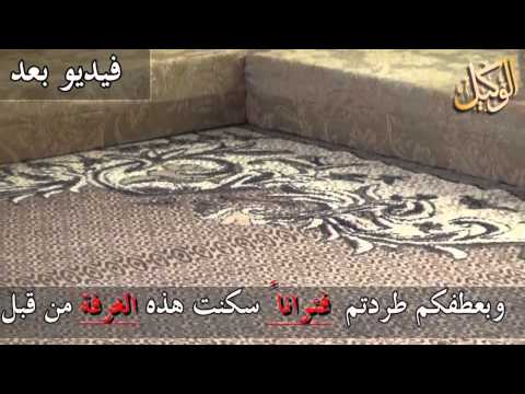 فيديو .. "أم عبد الرحمن" من بيت الفئران إلى حسد الجيران 