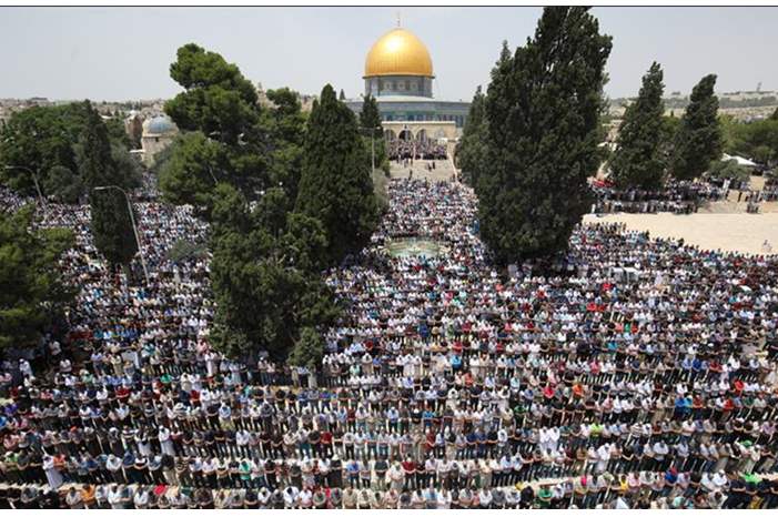 thumbs_b_c_8815b5521d8453cda183afd24f8bcde5