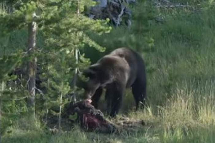 Doc-P-586025-636930967866032460