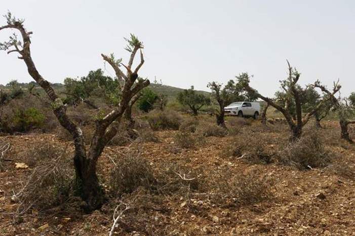 8Fj3m934QU29iymbfrcLIQ-thumbnail-720x720-70