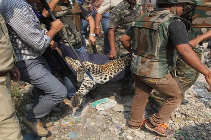 5cd2962bd4375095508b459b