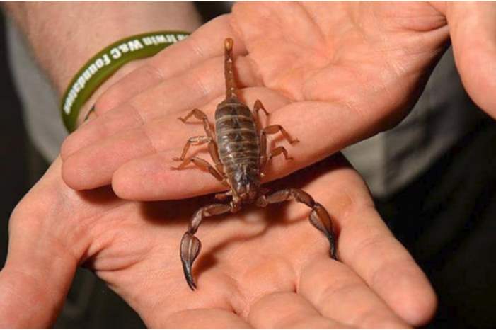 capture-png-56541356279547615