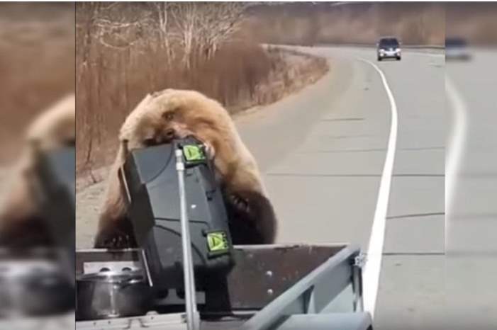 5cd6da58d43750a64f8b462c