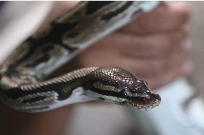 5cd3e6d8d43750f7728b4616