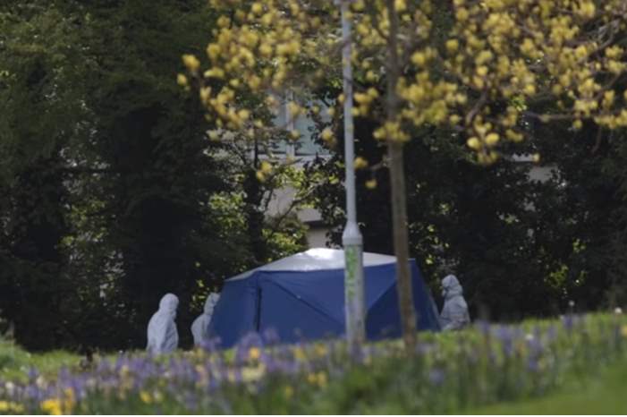 5cd8995dd43750ba128b45b6