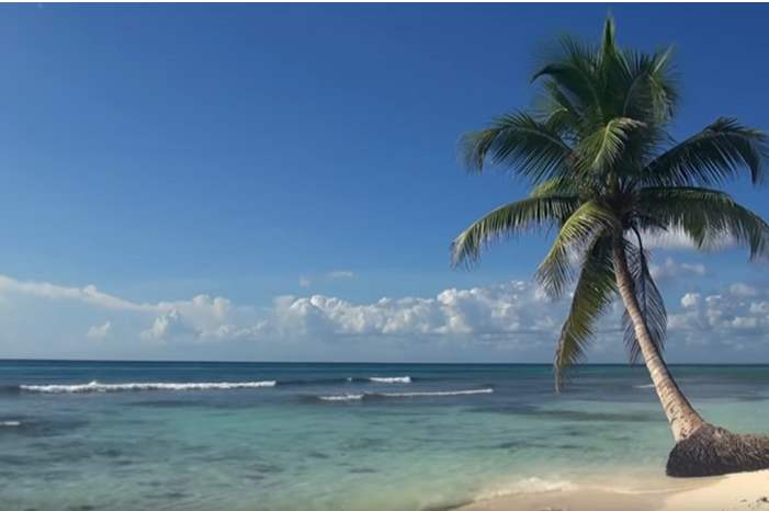 5cd2f3ea95a5979c7d8b45c4