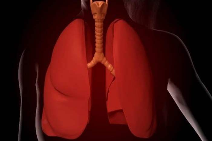 5cd28f7595a597c6208b4622-jpg-17257852509005740