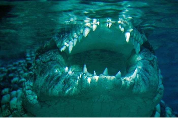 5cdbd8cad4375046698b4628