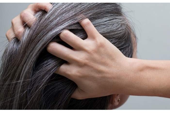 tbl_articles_article_15126_84152f62d1c-feed-40e2-8ebf-576a039206c7