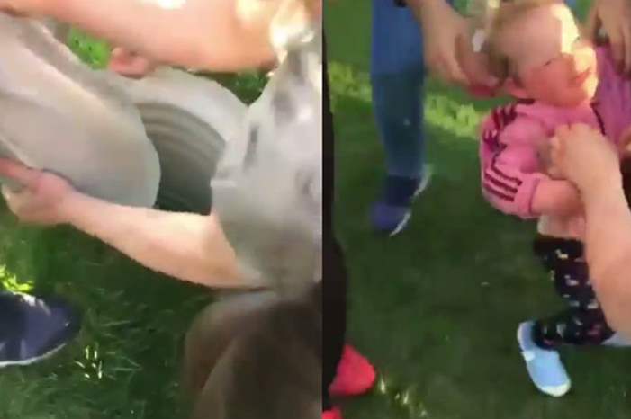 5ce004c495a597c0448b45b0