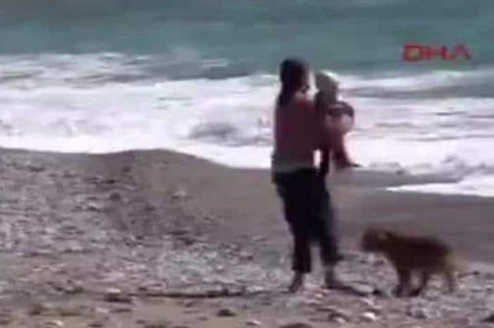 Doc-P-589027-636938896094617410 (1)