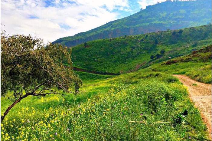 جمال الطبيعة