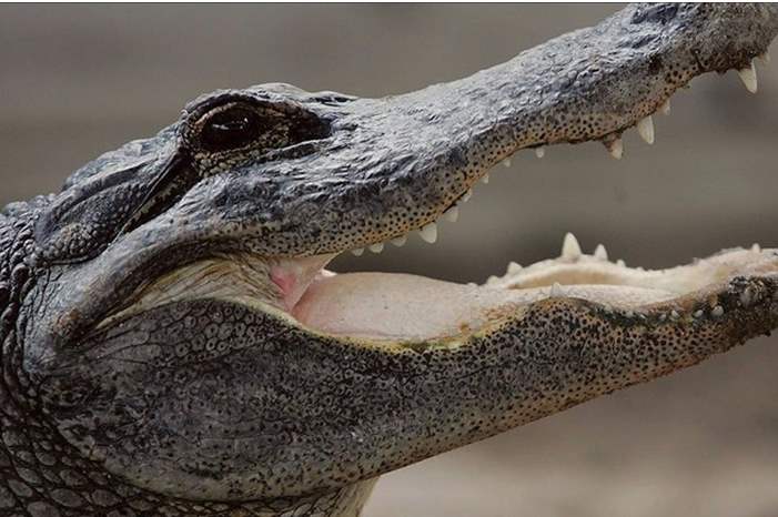 5ce26dfdd43750dd328b459a