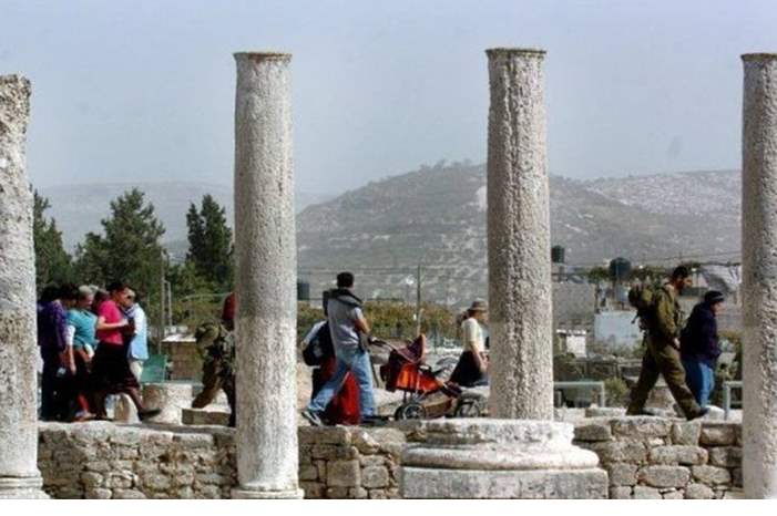 262388d7b687990c57b3997e9d5b956d