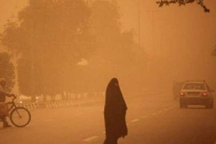 5ce56183d43750a5168b45b9