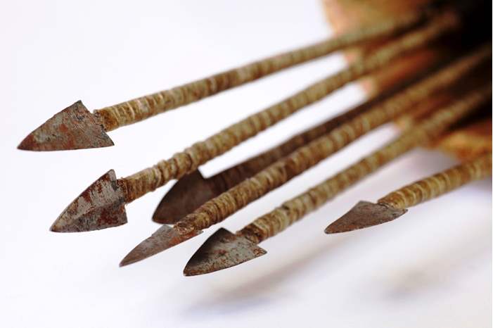 iStock_000018985904_Medium